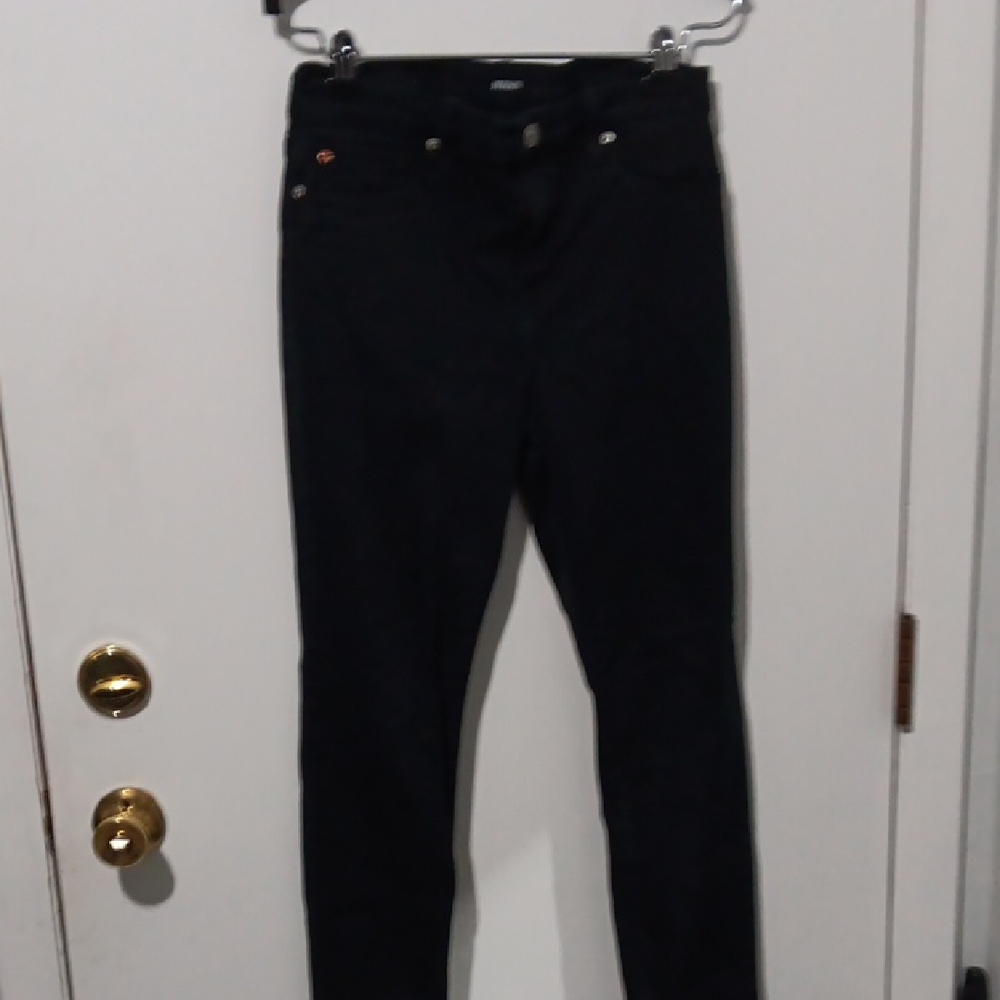 Hudson Jeans Dark Wash Denim